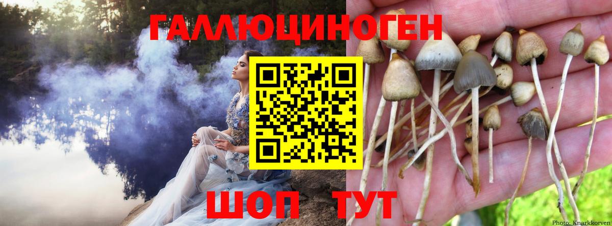Галлюциногенные грибы ЛСД Баксан